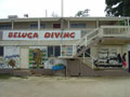 Beluga Diving Vavau