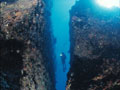 Beluga Diving Vavau