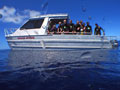 Beluga Diving Vavau