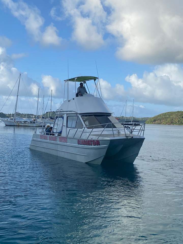 Gladiator bow portside — Beluga Diving, Vava'u Tonga