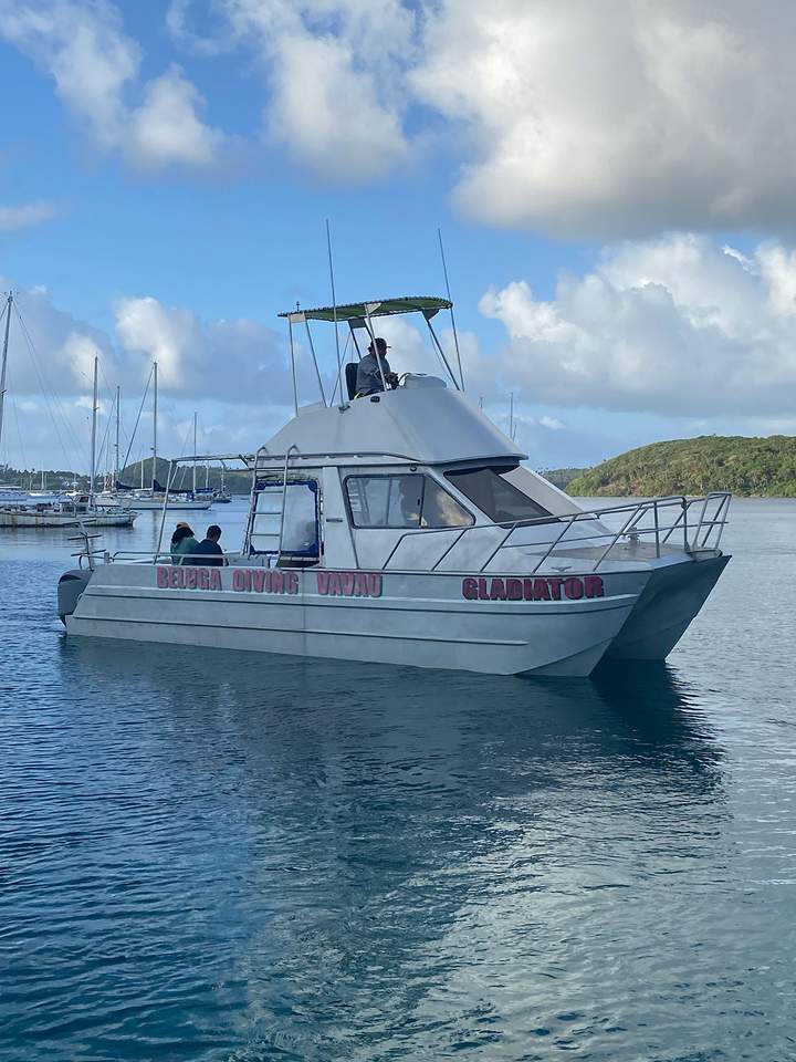 Gladiator portside — Beluga Diving, Vava'u Tonga
