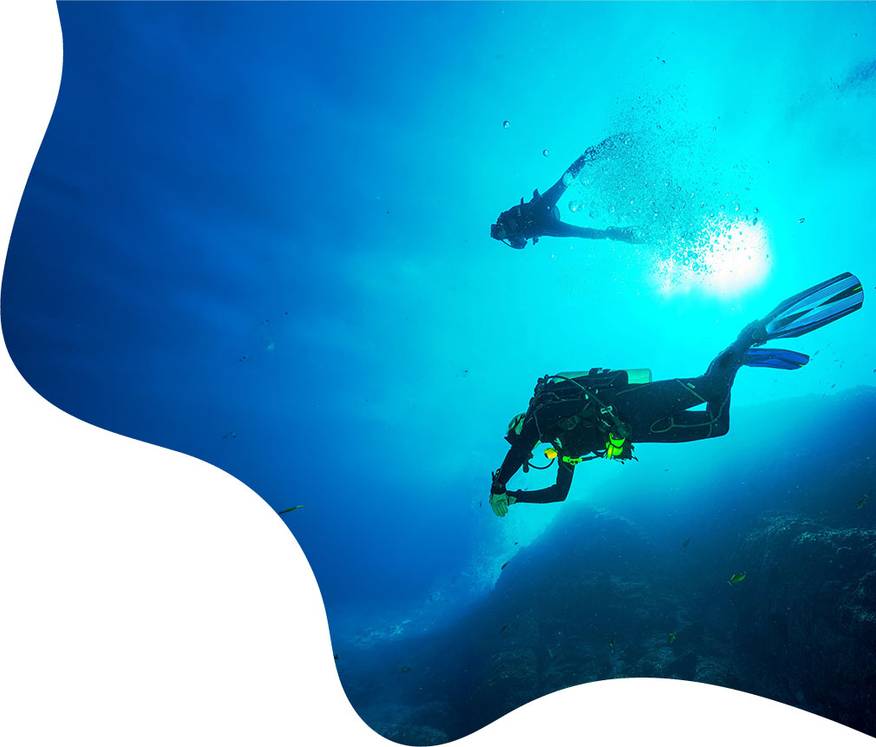 diving into the sea