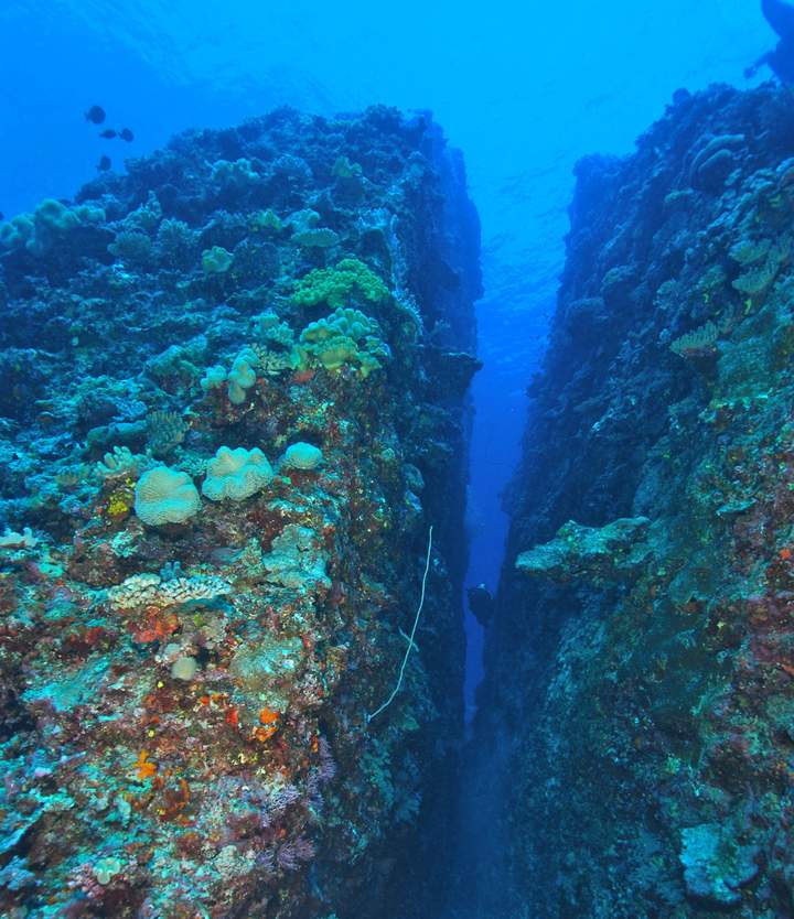 Split rock with text — Beluga Diving, Vava'u Tonga